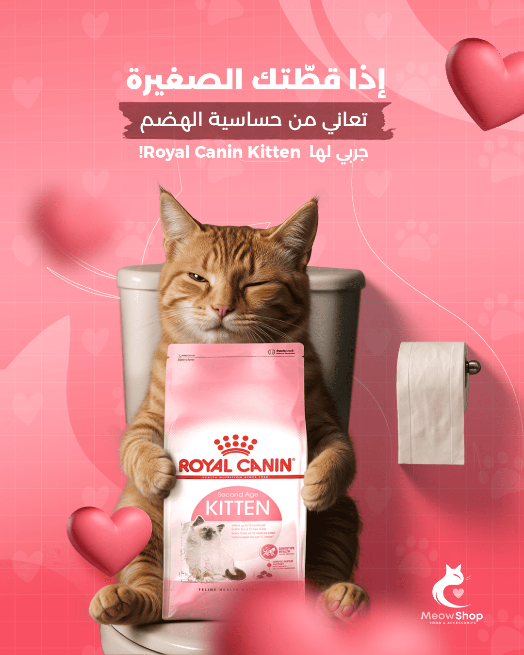 معاينة تصاميم متجر مياو لمنتجات القطط (Meow) - صورة 1