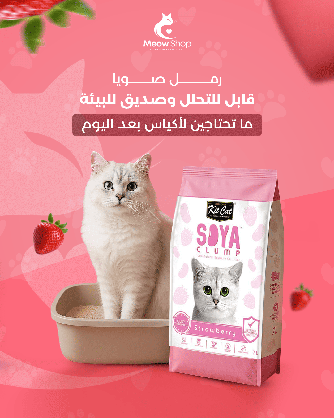 معاينة تصاميم متجر مياو لمنتجات القطط (Meow) - صورة 7