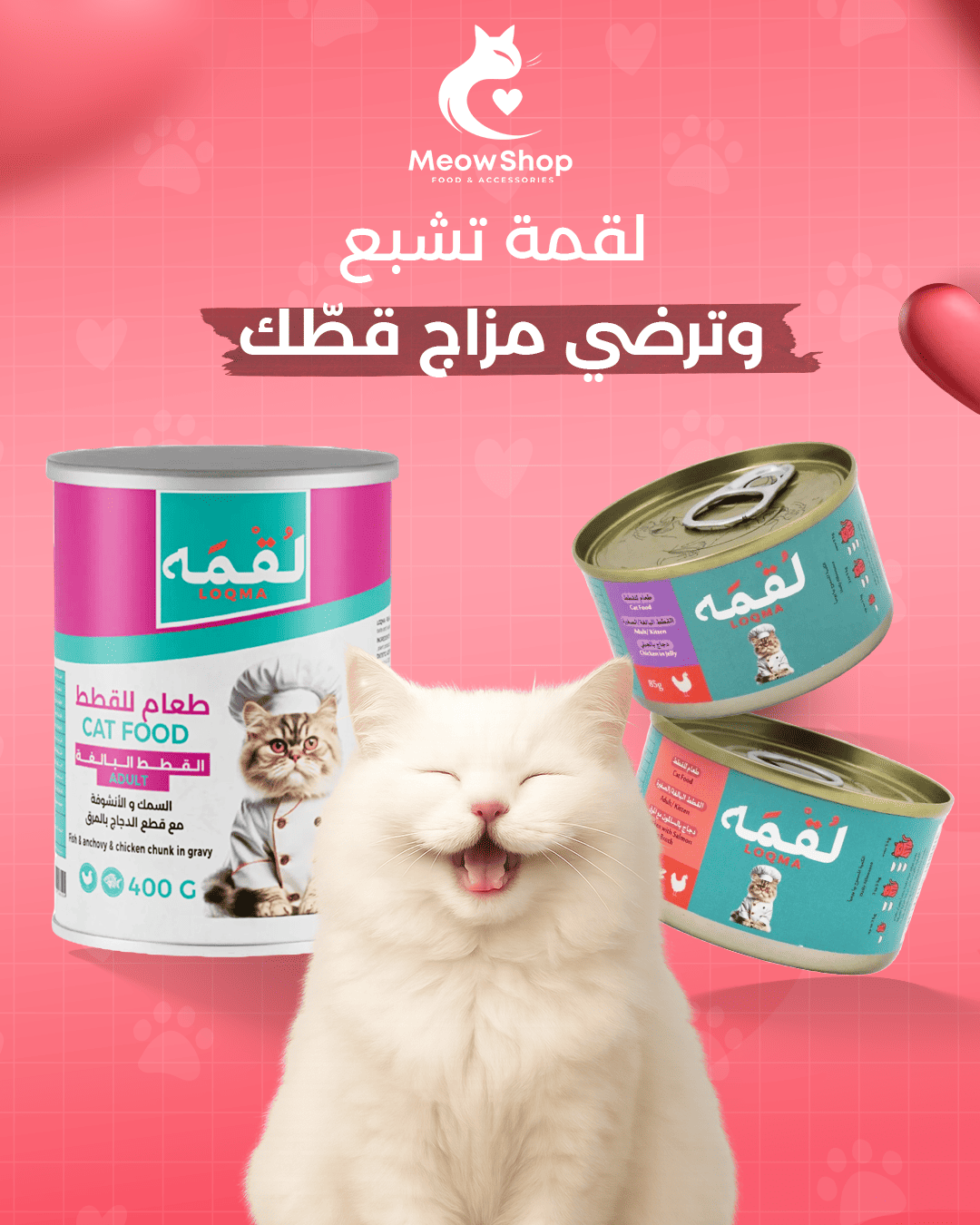 معاينة تصاميم متجر مياو لمنتجات القطط (Meow) - صورة 9
