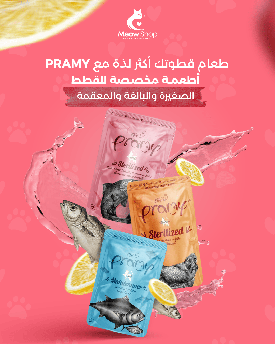 معاينة تصاميم متجر مياو لمنتجات القطط (Meow) - صورة 10