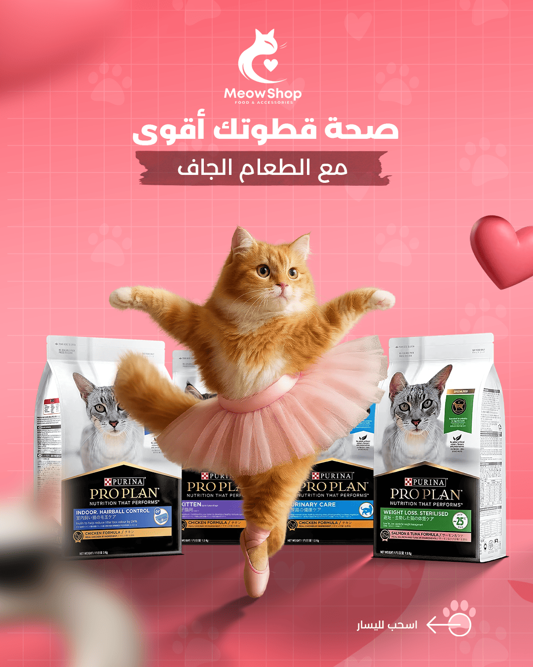 معاينة تصاميم متجر مياو لمنتجات القطط (Meow) - صورة 11