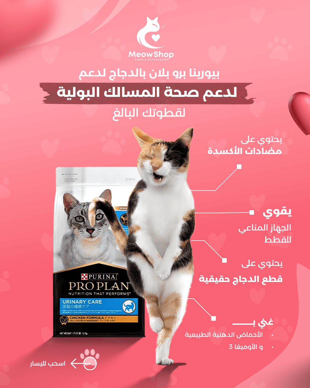 معاينة تصاميم متجر مياو لمنتجات القطط (Meow) - صورة 13