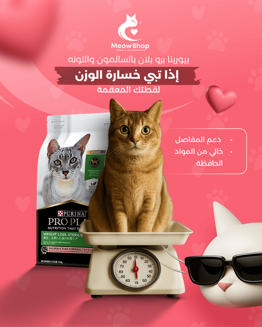 معاينة تصاميم متجر مياو لمنتجات القطط (Meow) - صورة 15